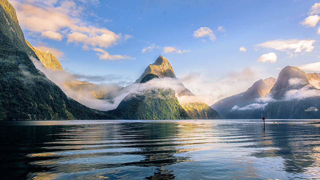 Premium Milford Sound Small-Group Tour, Cruise & Picnic Lunch from Queenstown  (Pure Milford) - Photo 1 of 10